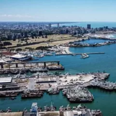 El puerto bajo alerta: detectaron concentraciones extremas de trimetilamina en la zona