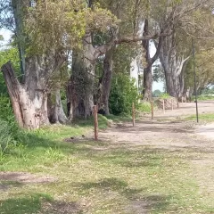 Mercedes: denuncian que el municipio permitió la ocupación de lotes públicos por militantes kirchneristas