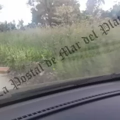 Juan Manuel López apuntó contra Santiago Bonifatti por el abandono de los barrios marplatenses